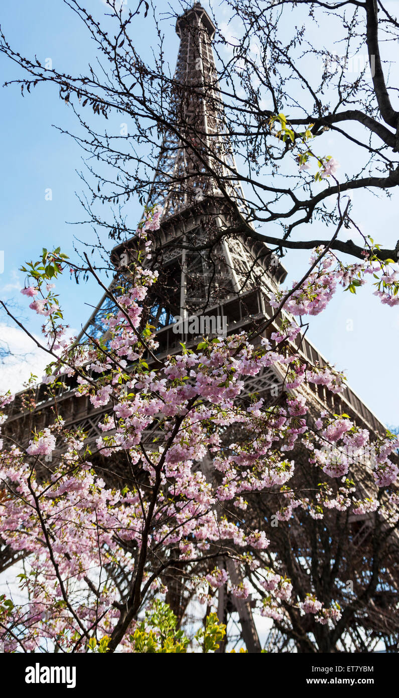 Low angle view of Eiffel Tower against sky, Paris, France Stock Photo