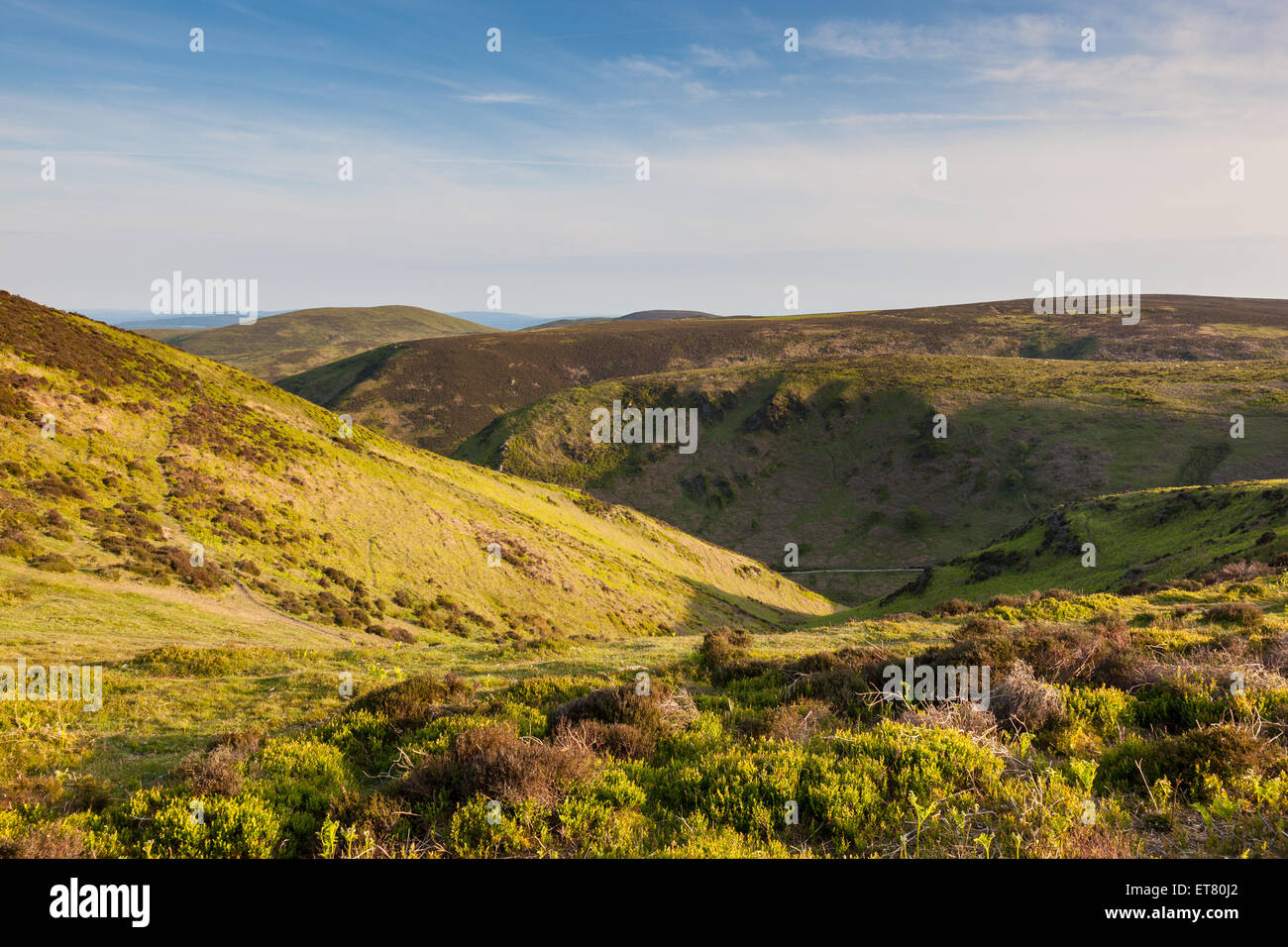 Looking towards Burway Hill and the rounded tops of the Long Mynd, from Haddon Hill, near Church Stretton, Shropshire, England Stock Photo
