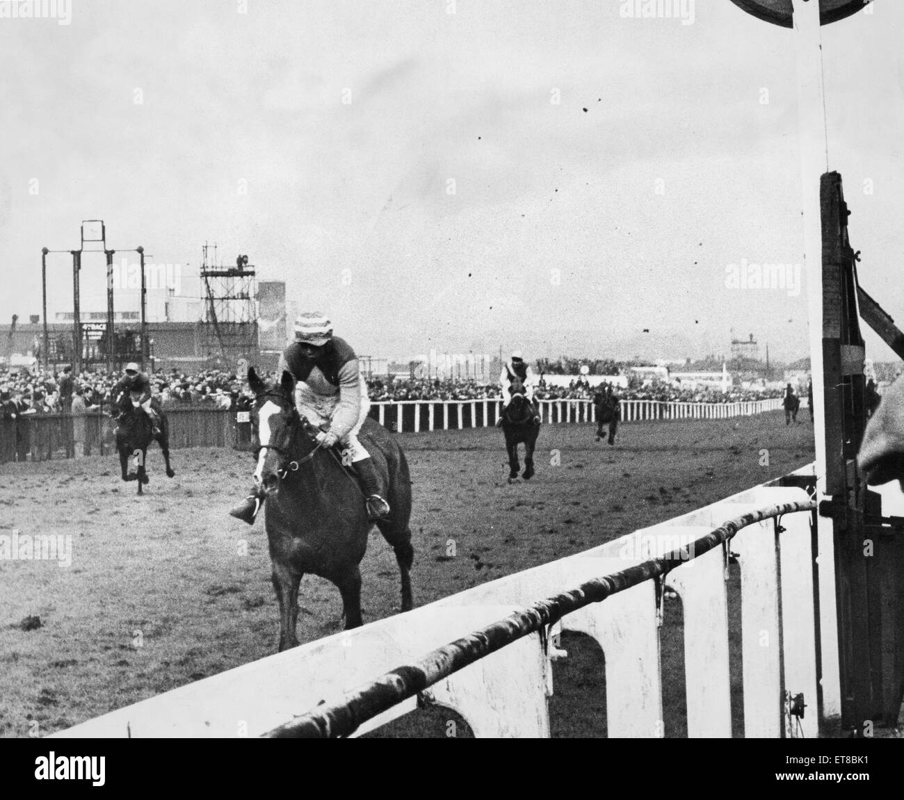 Anglo ridden by Tim Norman winning the 1966 Grand National 25th March 1966 Stock Photo