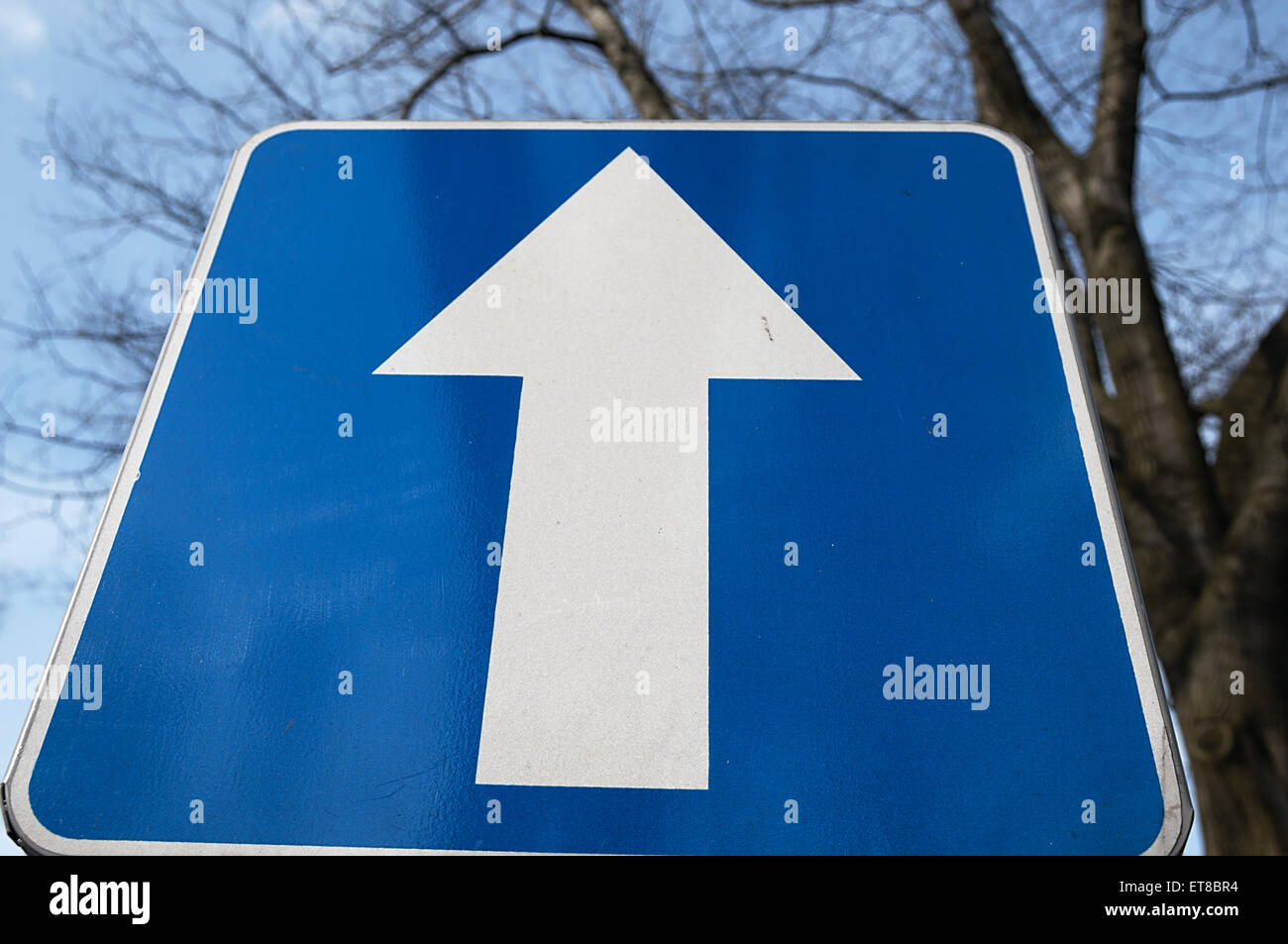One-way traffic sign standing on the road. Stock Photo