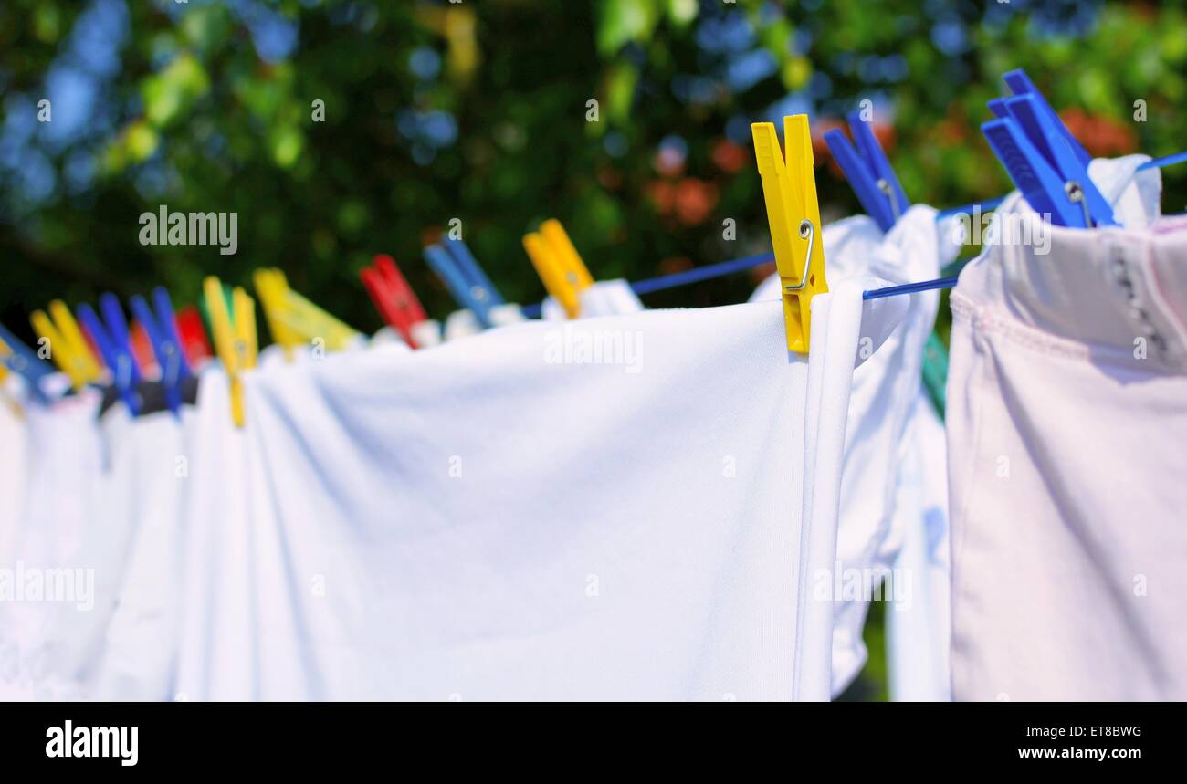 Fresh white laundry hang on the clothesline with colorful pegs. Stock Photo