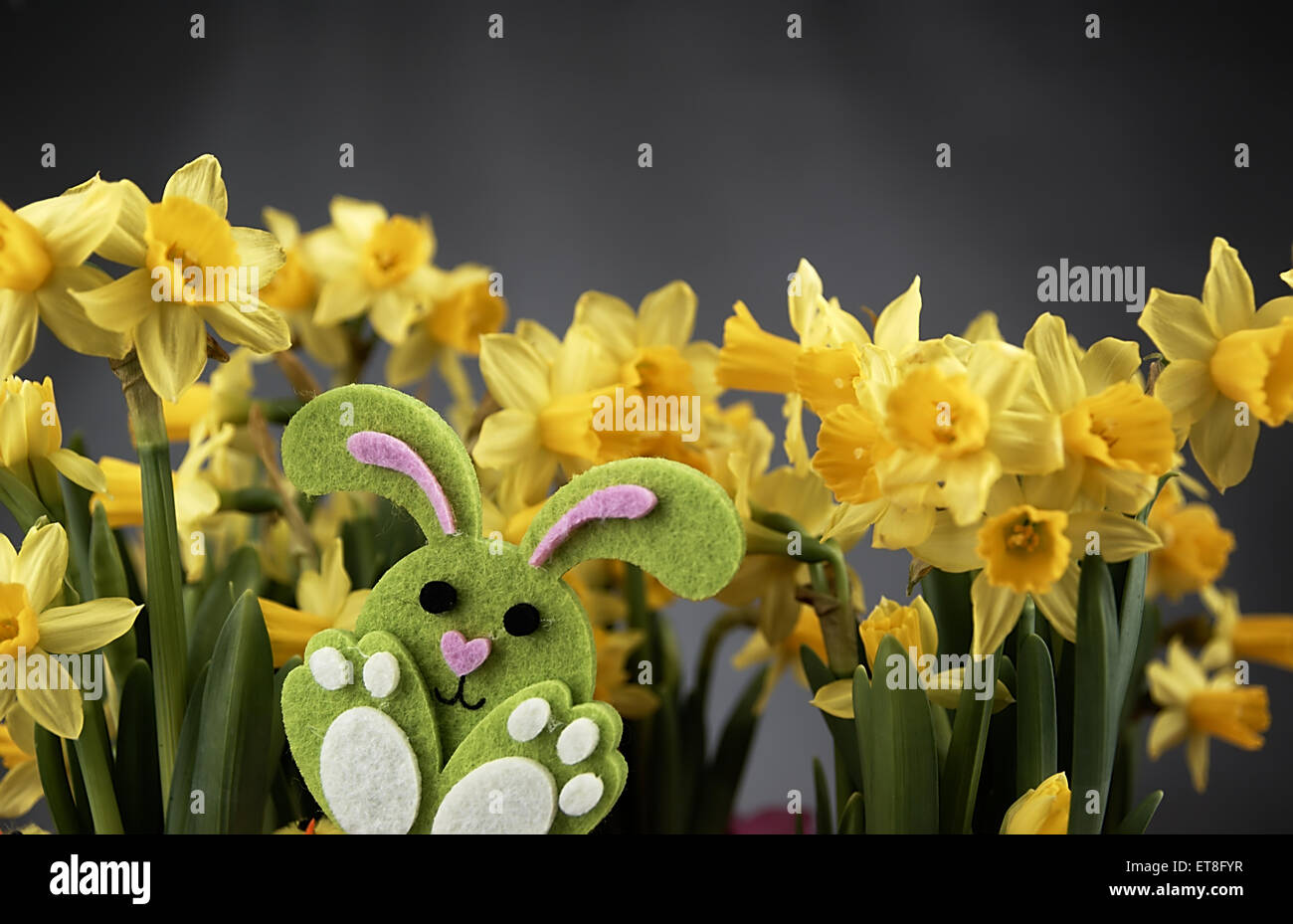 Easter bunny on green background of yellow daffodils Stock Photo - Alamy