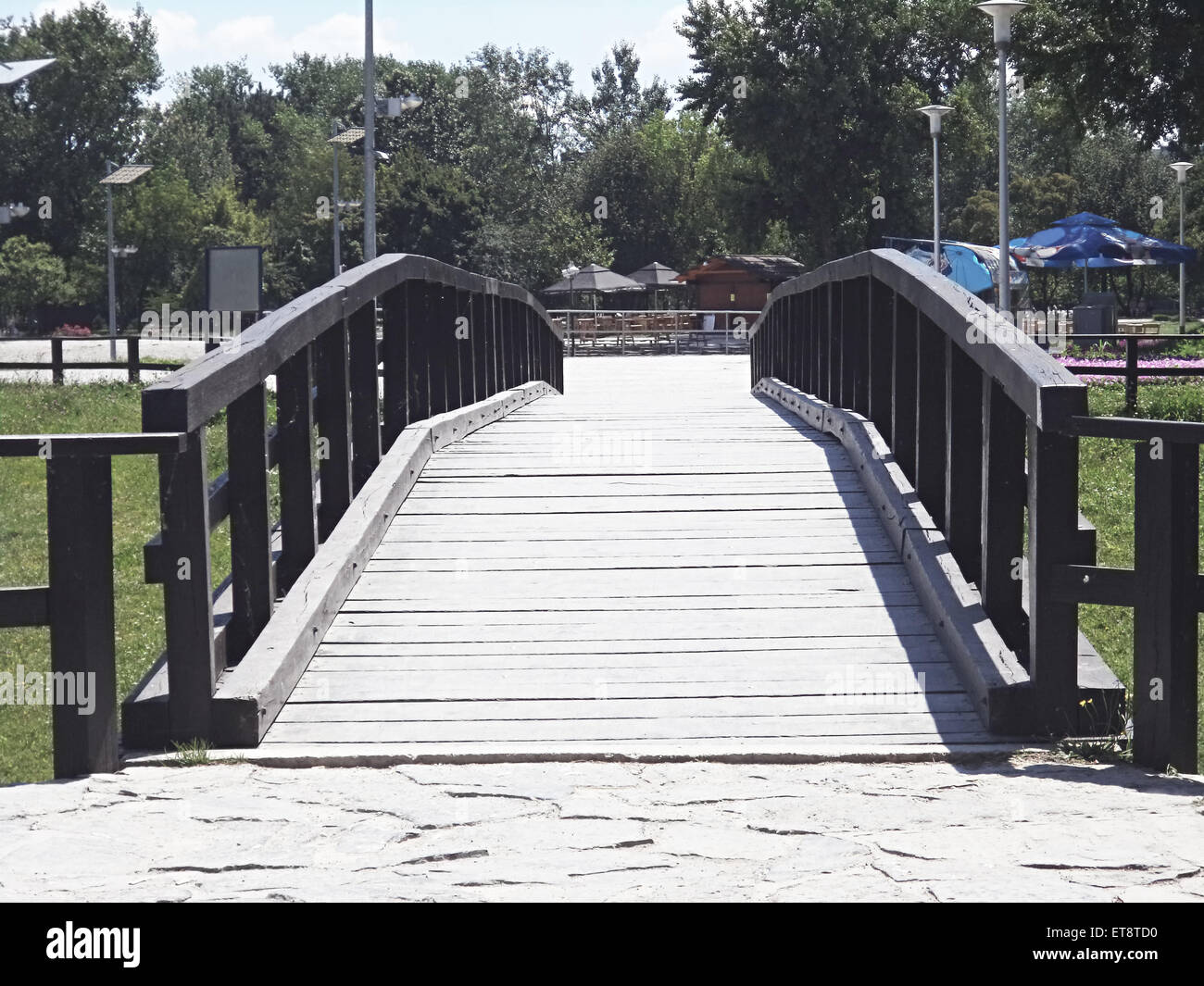 Wooden bridge in the forest hi-res stock photography and images - Alamy