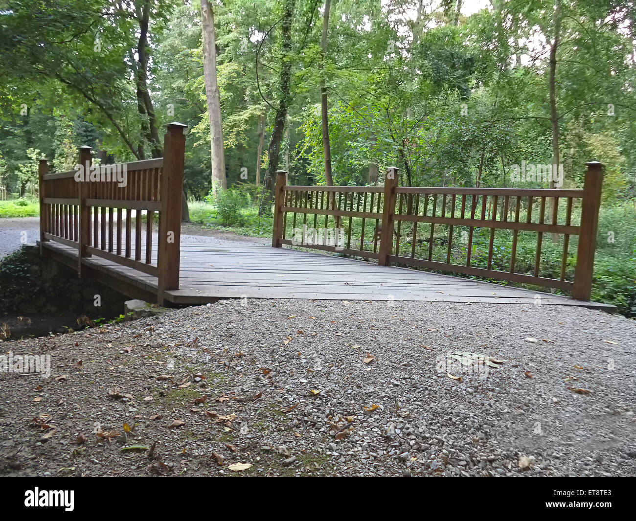 Wooden bridge in the forest hi-res stock photography and images - Alamy