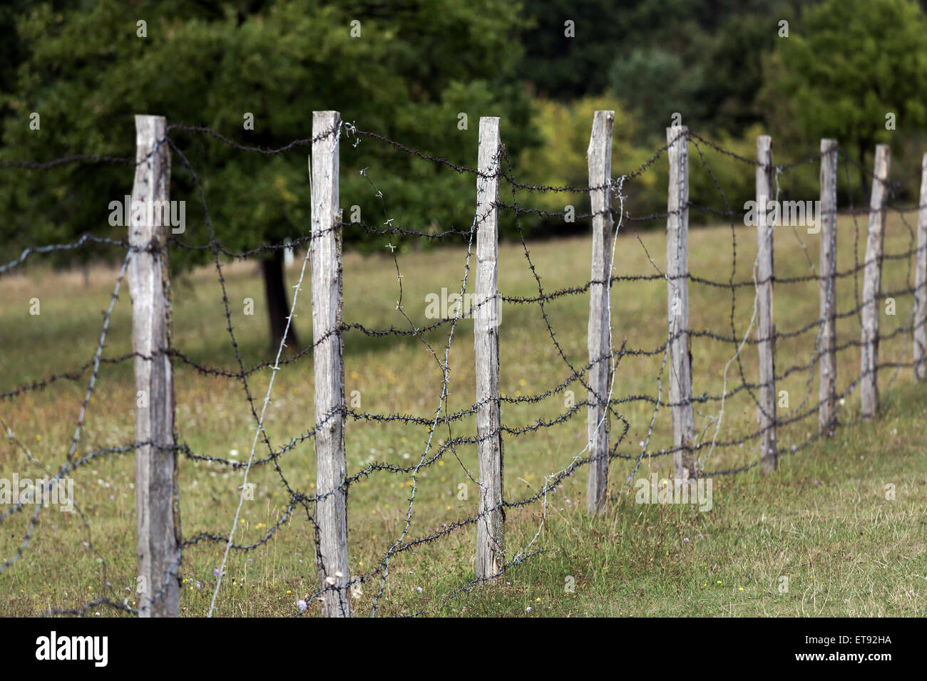 Geisa, Germany, barbed wire fence on the memorial site Point Alpha Stock Photo