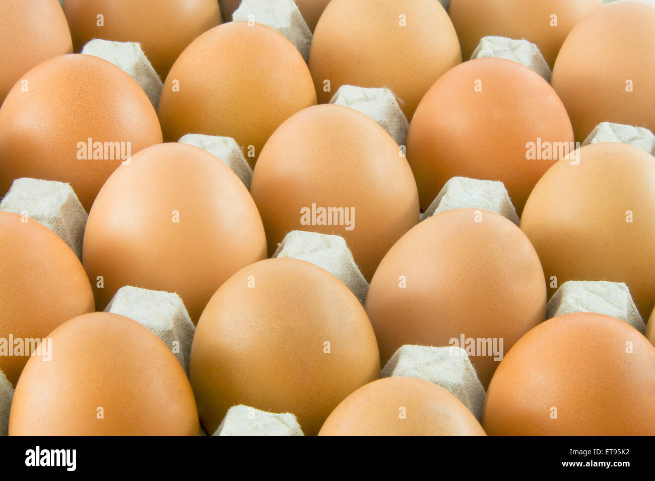 Many fresh rural eggs packed in cardboard container Stock Photo Alamy