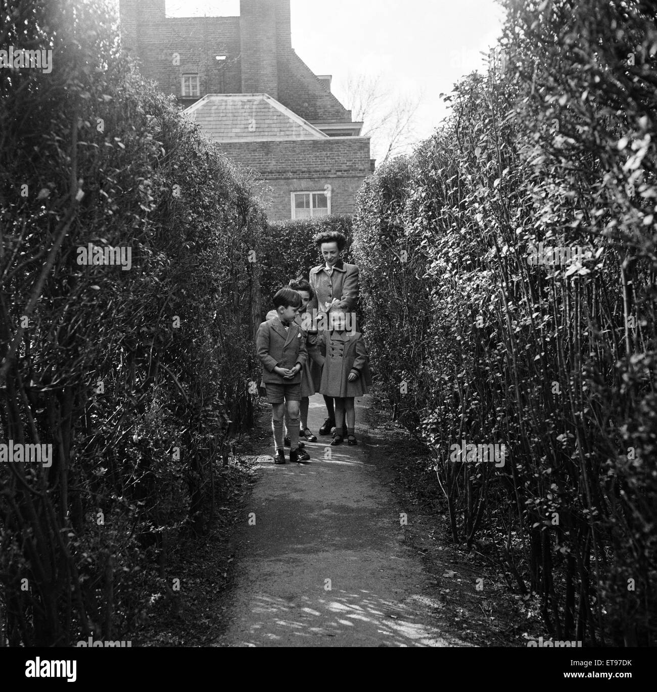 Hampton Court Maze, London Borough of Richmond upon Thames, London, 8th April 1954. Stock Photo
