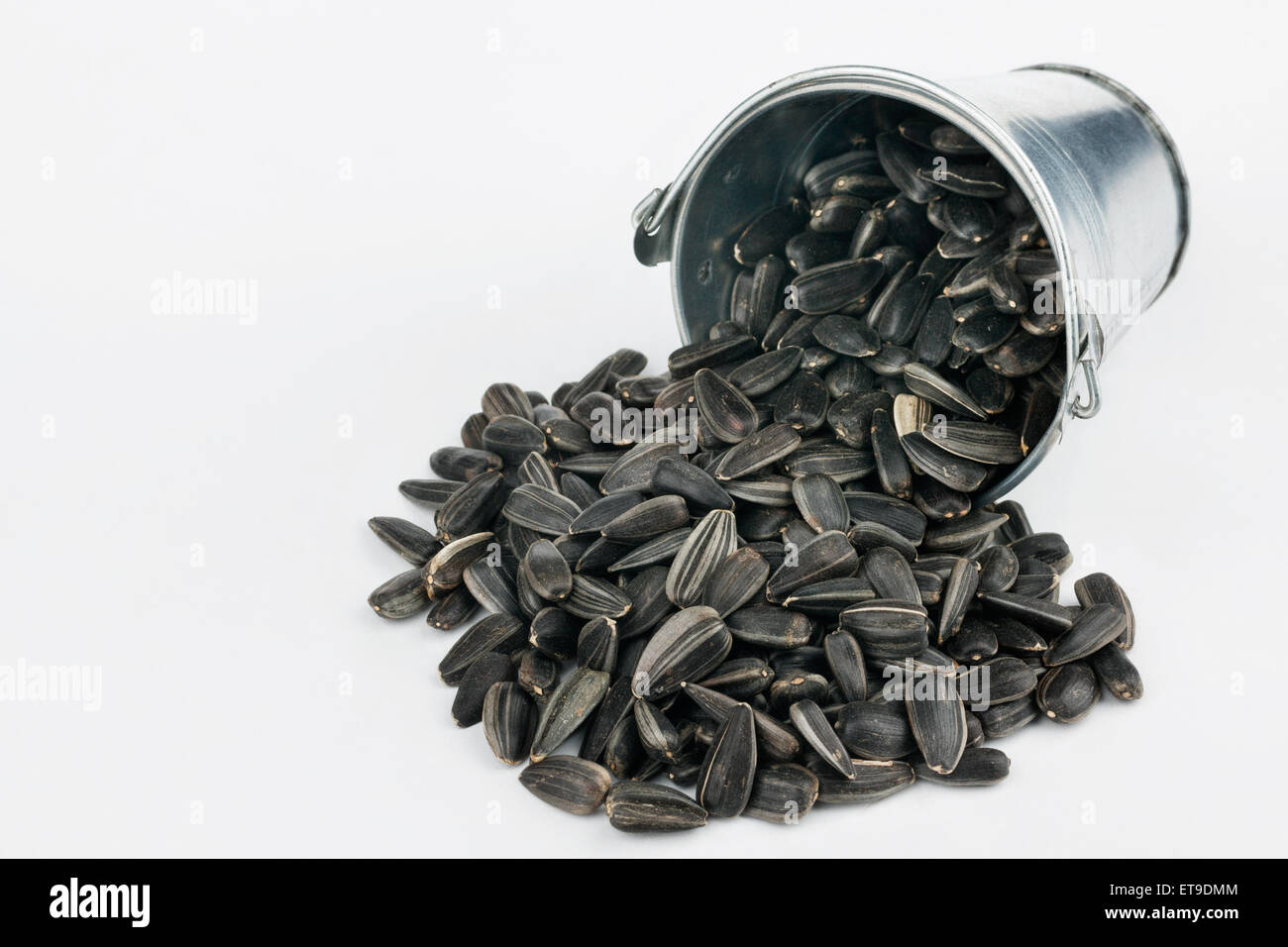 Sunflower seeds spilling out of bucket, on a white background Stock