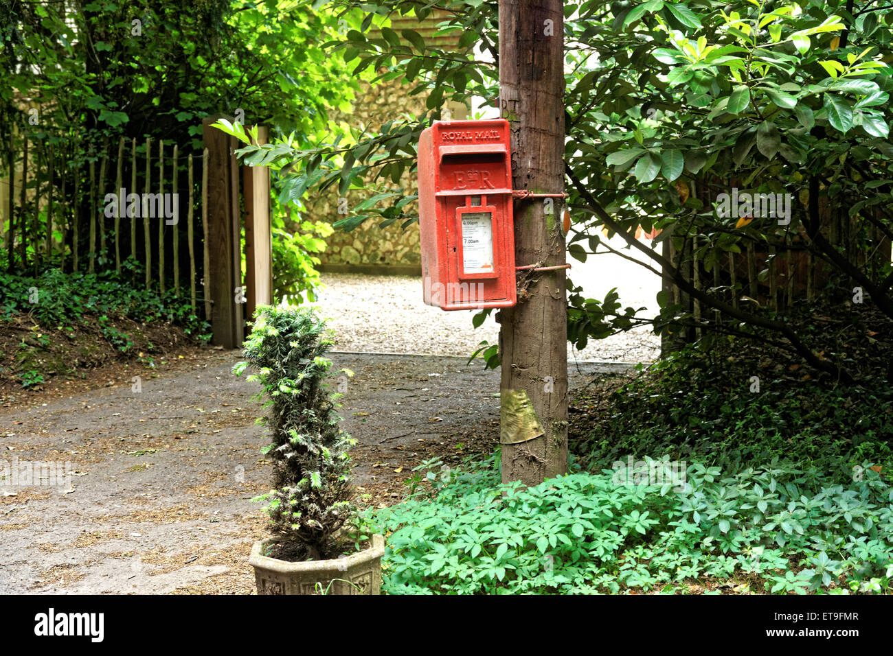 Red postbox attached to telegraph pole. Stock Photo