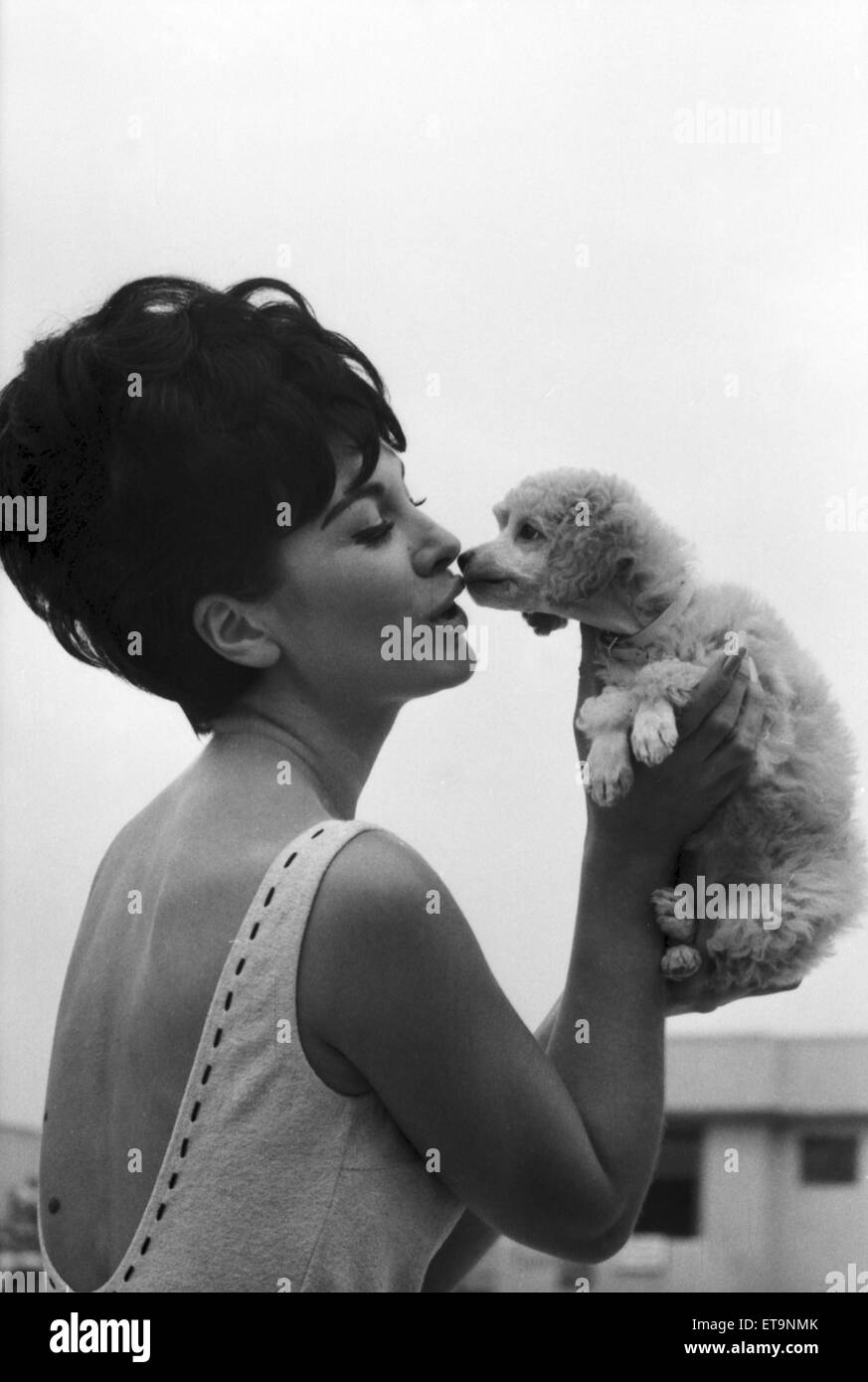 Diane Westbury, 21 from Cheshire, Heat Winner, Miss Great Britain Competition, Morecambe, 18th August 1965. Pictured with surprise gift of a poodle. Stock Photo