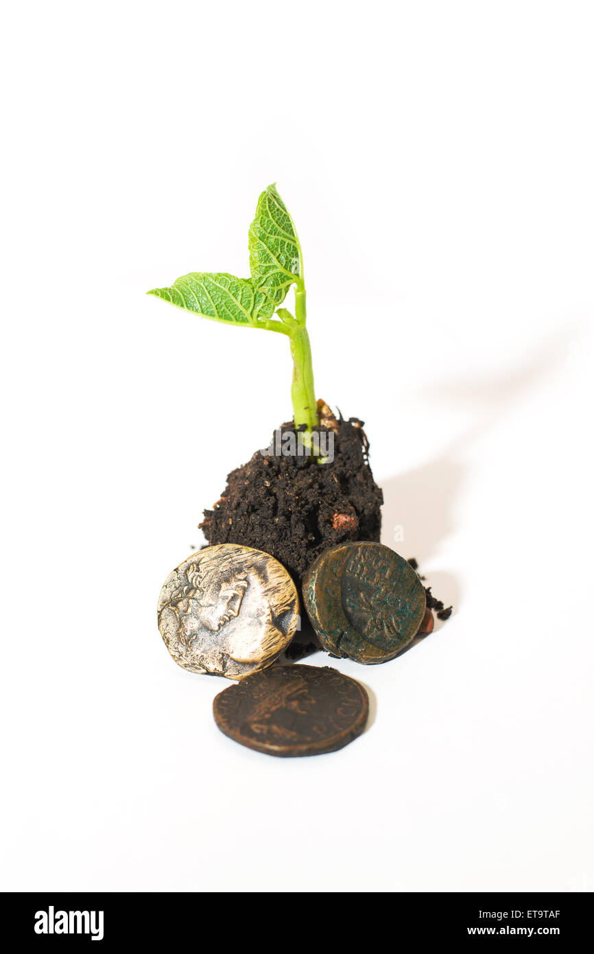 Green plant growing from a pile of soil and coins on a white background ...