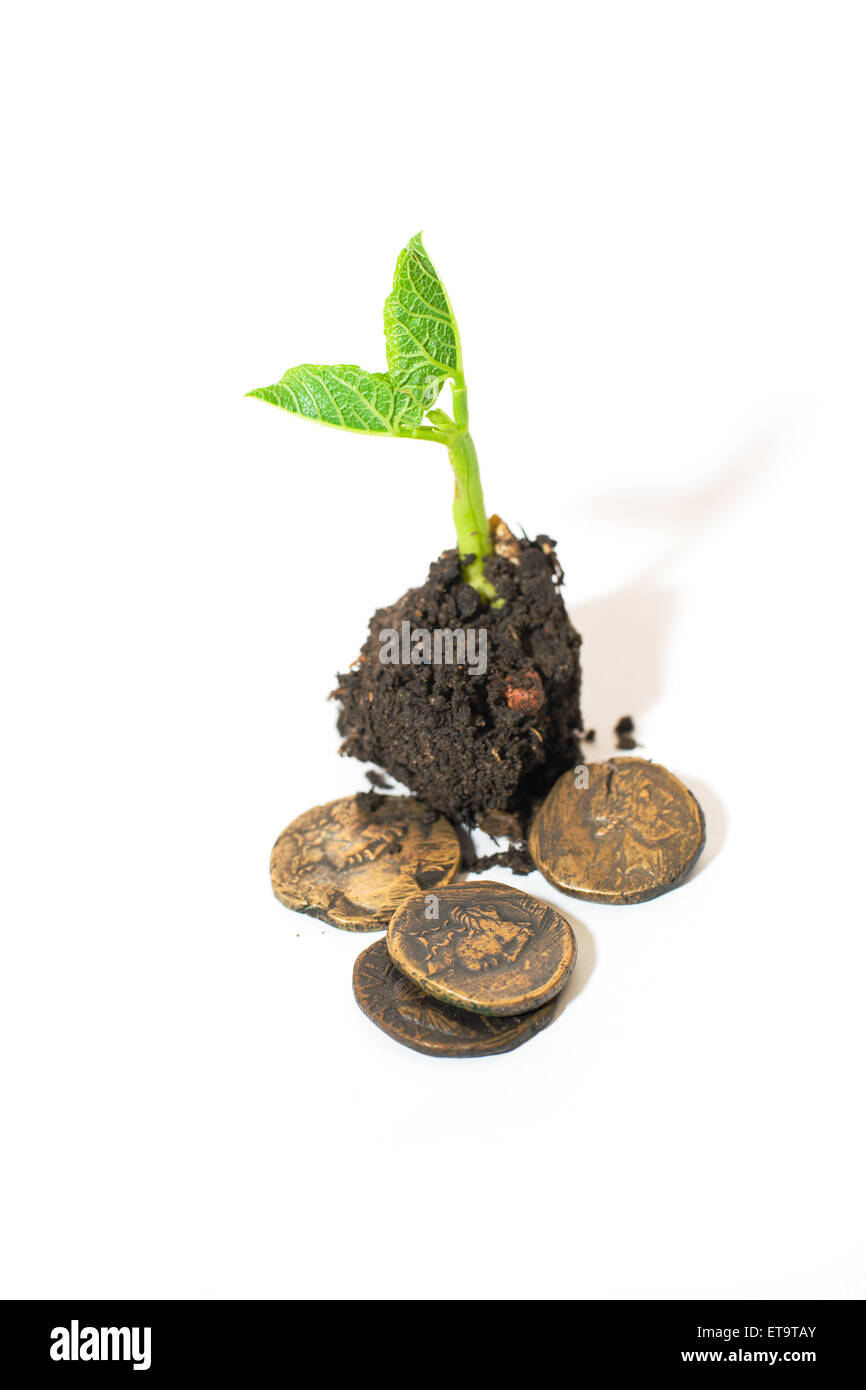 Green plant growing from a pile of soil and coins on a white background ...