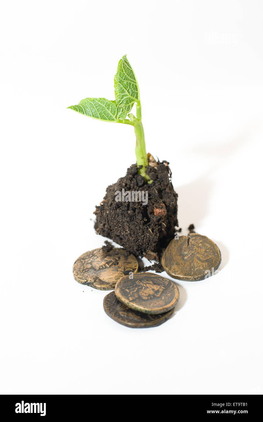 Green plant growing from a pile of soil and coins on a white background ...
