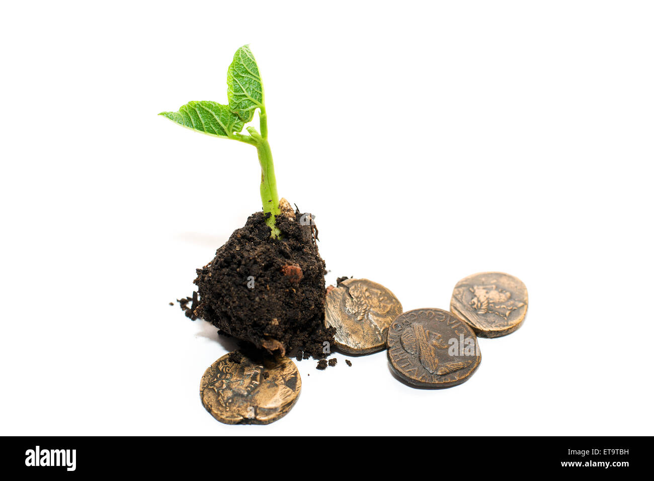 Green plant growing from a pile of soil and coins on a white background ...