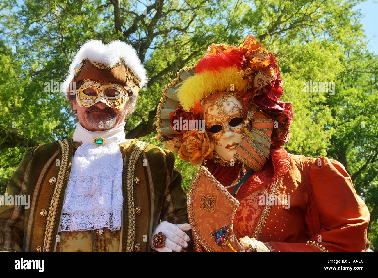 MOUSCRON, BELGIUM-JUNE 06, 2015: Participants of defile in costumes of Carnival de Venice in Parc Communal during 6 edition of V Stock Photo