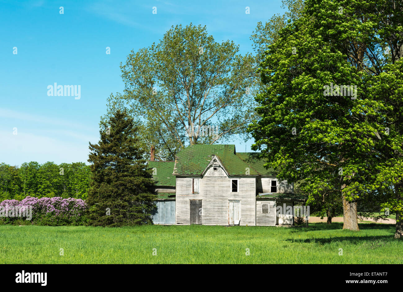 Michigan, Emmet County, abandoned farmhouse Stock Photo Alamy