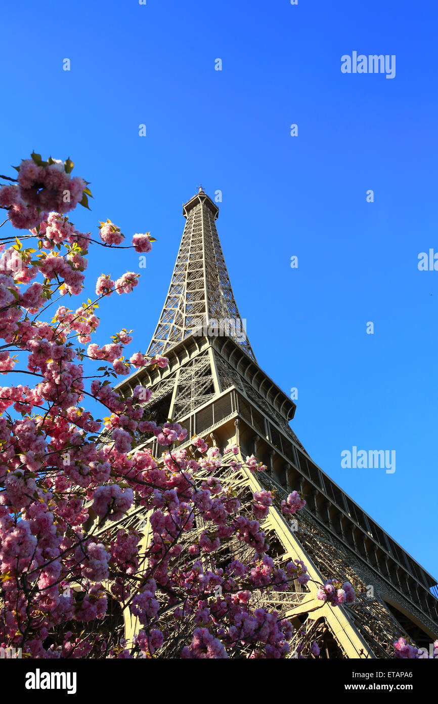 Eiffel Tower in spring time, Paris, France Stock Photo