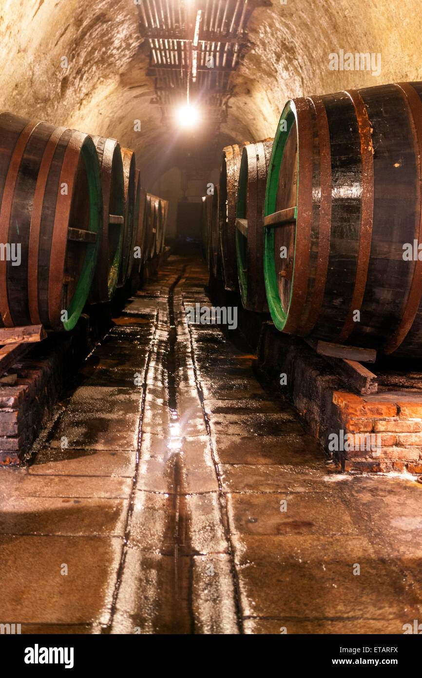 Pilsner Urquell brewery Czech Republic underground cellar, old beer wooden kegs Pilsen Stock Photo