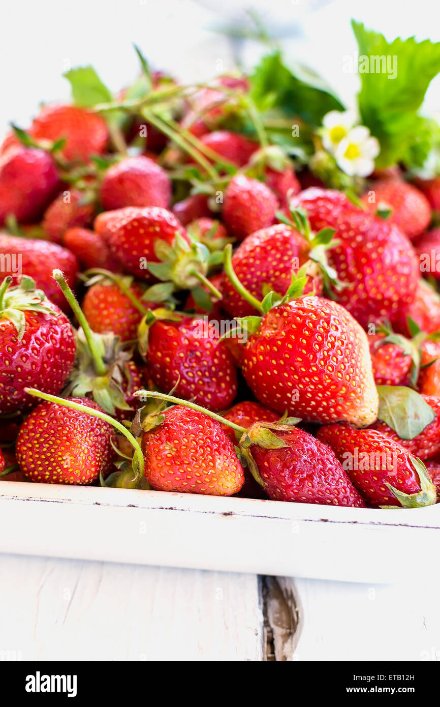 Tray fresh juicy strawberries hi-res stock photography and images - Alamy