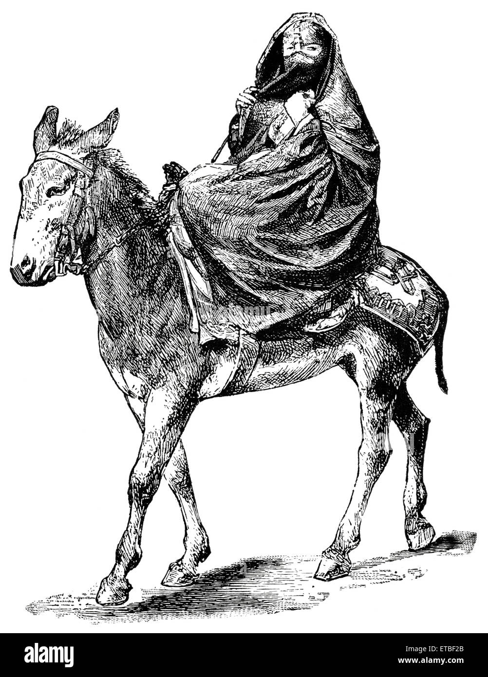 Arab Lady on Donkey, Cairo, Egypt, 'Classical Portfolio of Primitive Carriers', by Marshall M. Kirman, World Railway Publ. Co., Illustration, 1895 Stock Photo