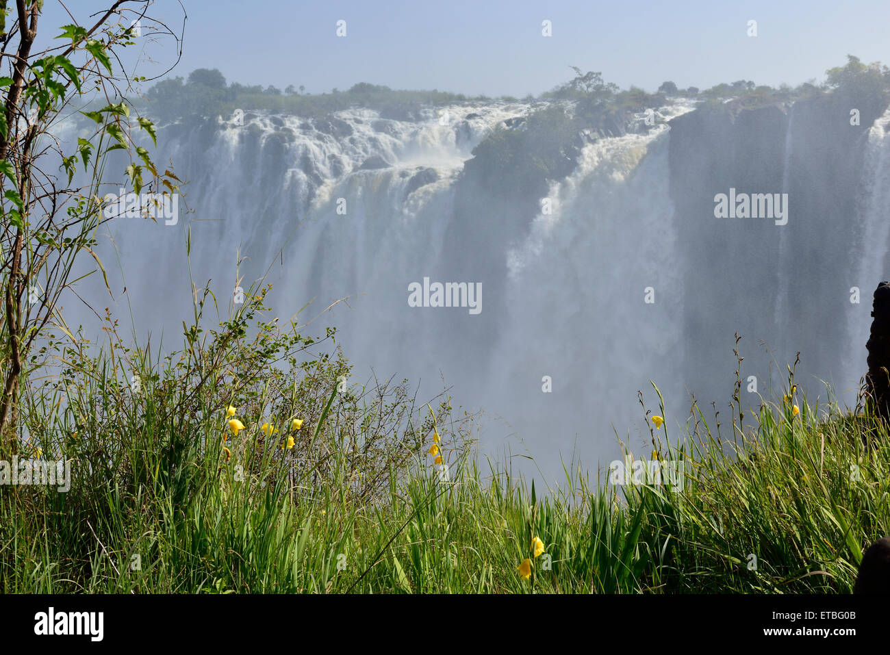 Victoria Falls, Zambia 150505 63301 Stock Photo