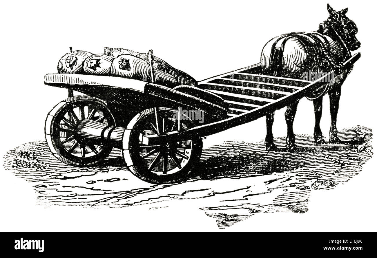 Horse-Drawn Yarmouth Cart, England, 'Classical Portfolio of Primitive Carriers', by Marshall M. Kirman, World Railway Publ. Co., Illustration, 1895 Stock Photo