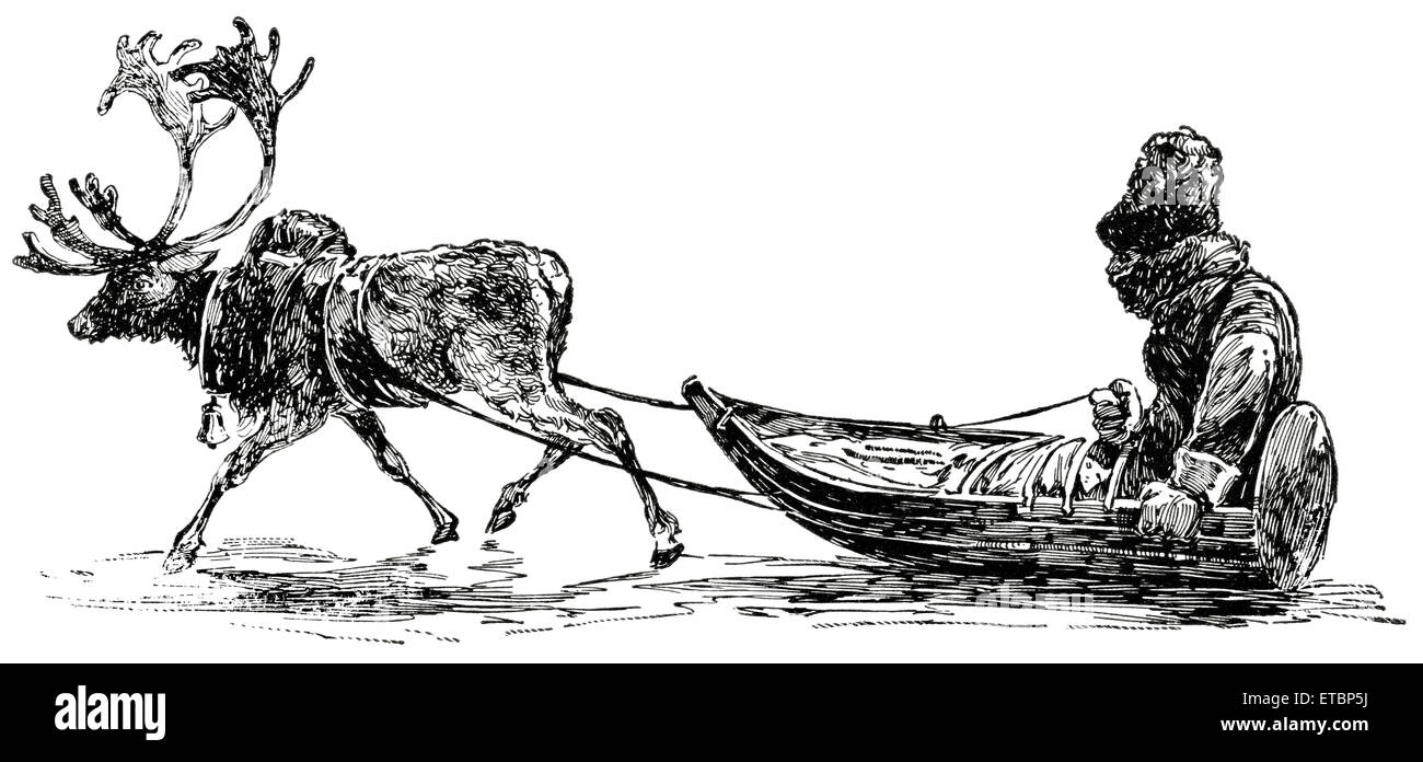 Reindeer Pulling Carriage in Lapland, 'Classical Portfolio of Primitive Carriers', by Marshall M. Kirman, World Railway Publ. Co., Illustration, 1895 Stock Photo
