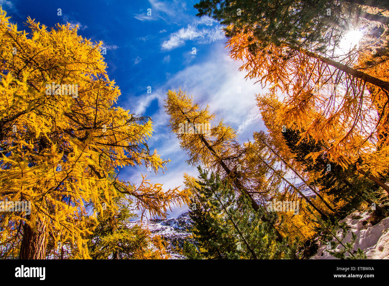 Colorful landscape nature hi-res stock photography and images - Alamy