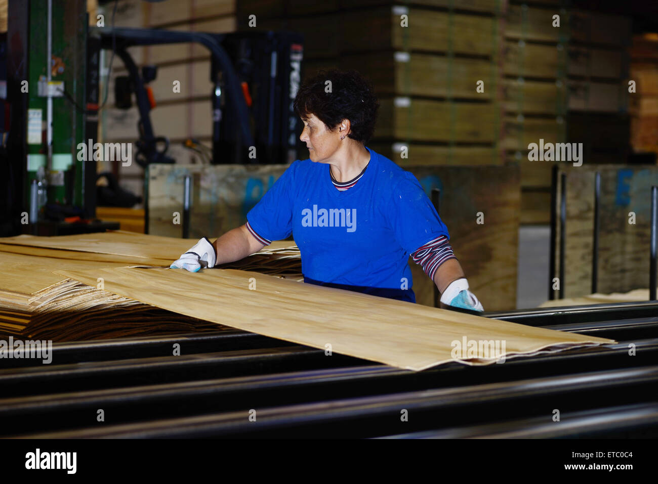 GREYMOUTH, NEW ZEALAND, MAY 22, 2015 : An unidentified worker grades freshly dried  sheets of veneer Stock Photo