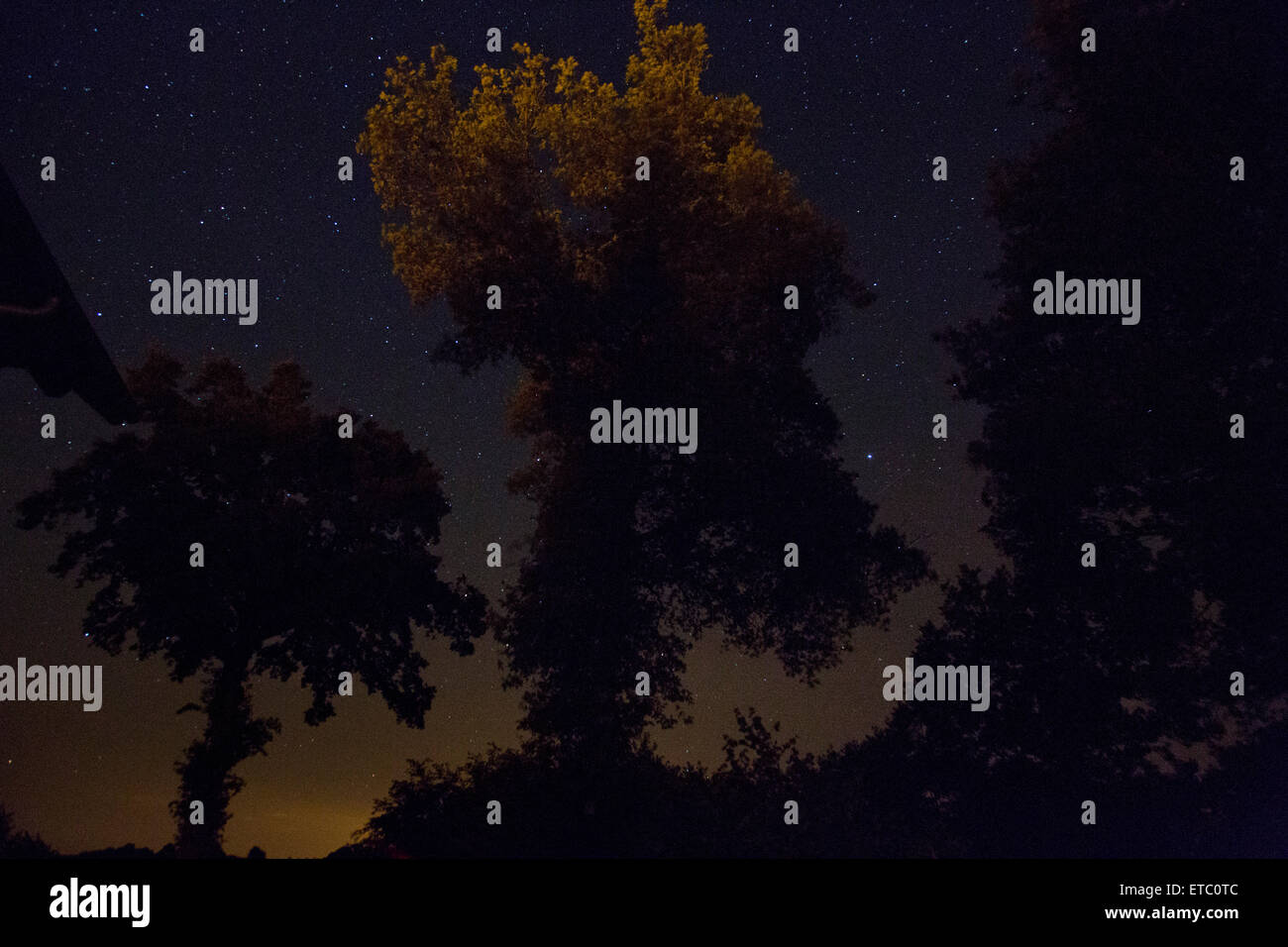 Night sky with trees hi-res stock photography and images - Alamy