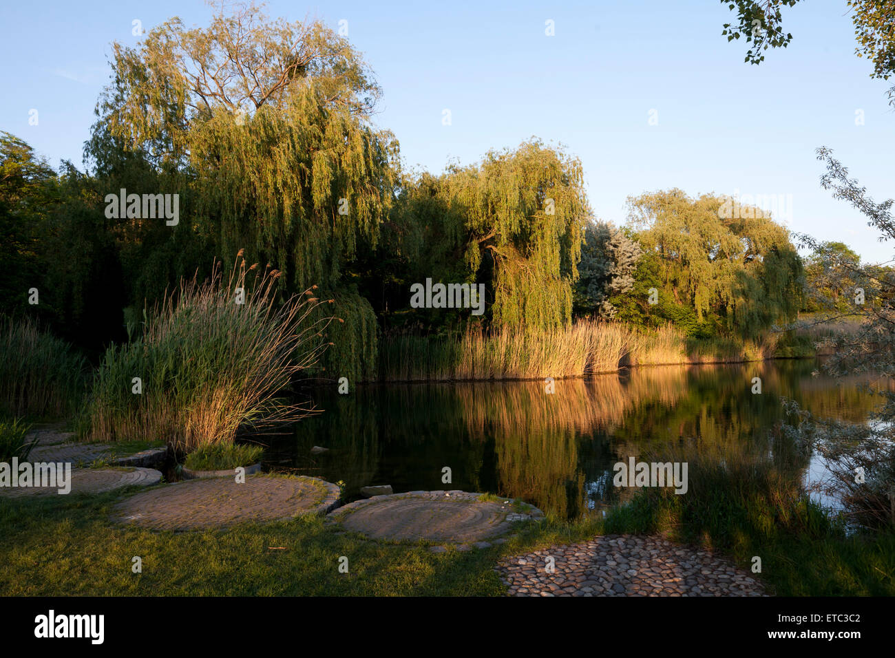 lake landscape nature background sunset Stock Photo - Alamy
