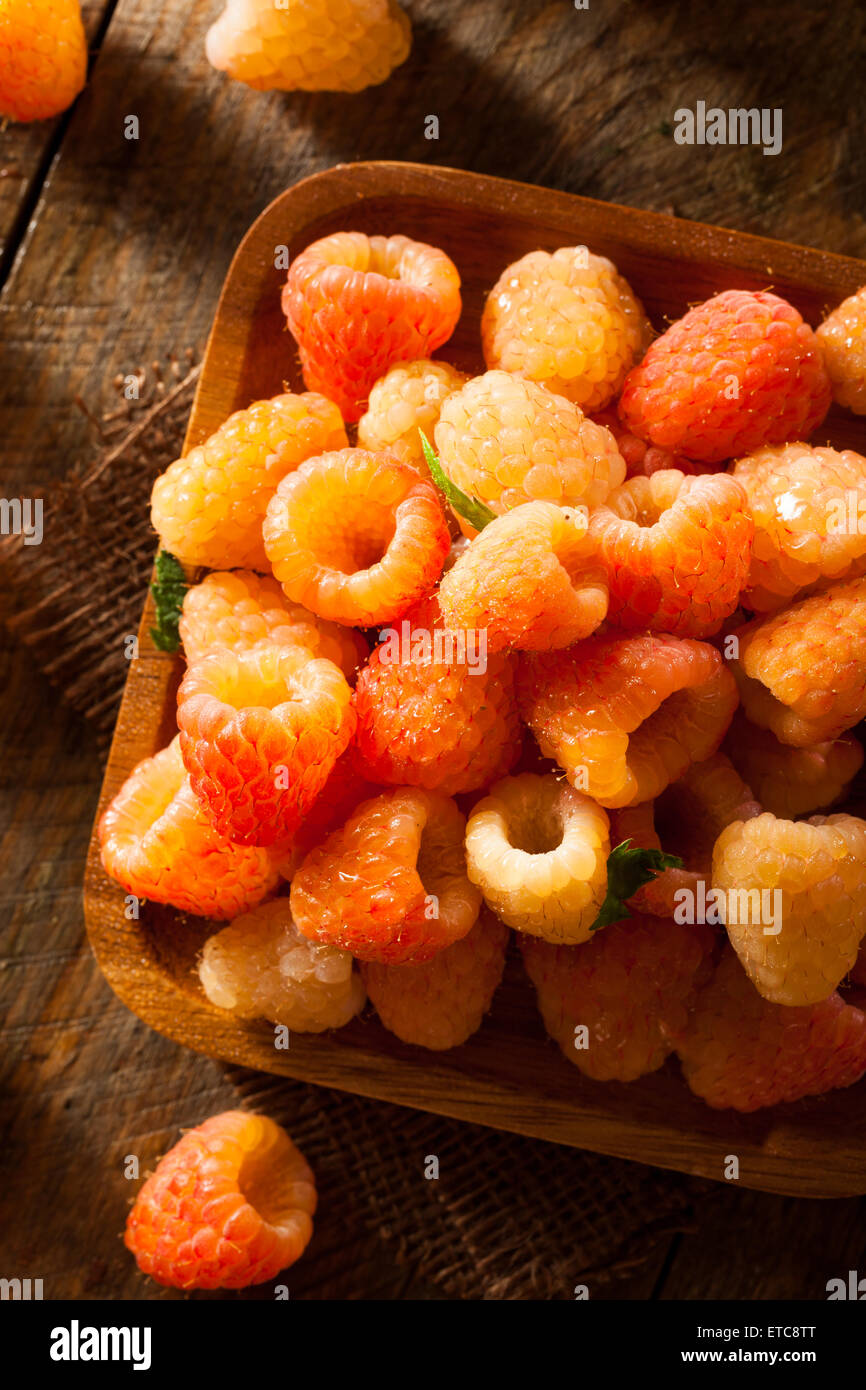 Raw Organic Orange Sunshine Raspberries Ready to Eat Stock Photo - Alamy