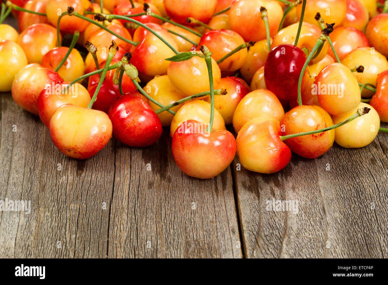 Close up of freshly picked rainier cherries, water droplets on them, on rustic wood. Stock Photo
