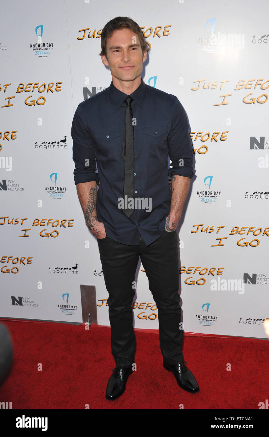 LOS ANGELES, CA - APRIL 20, 2015: Seann William Scott at the premiere of his movie 'Just Before I Go' at the Arclight Theatre, Hollywood. Stock Photo