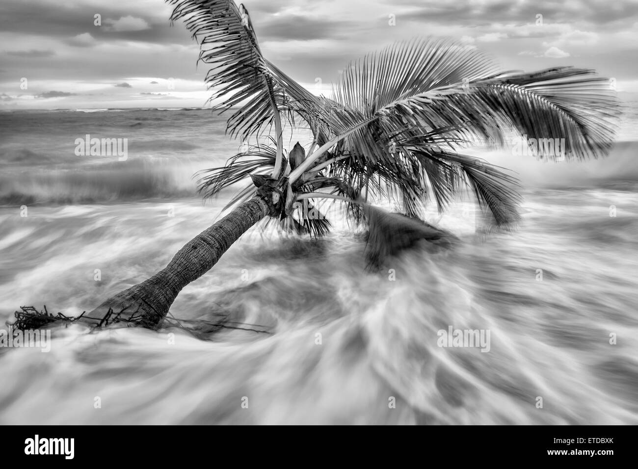 Sea view caribbean island Black and White Stock Photos & Images - Alamy