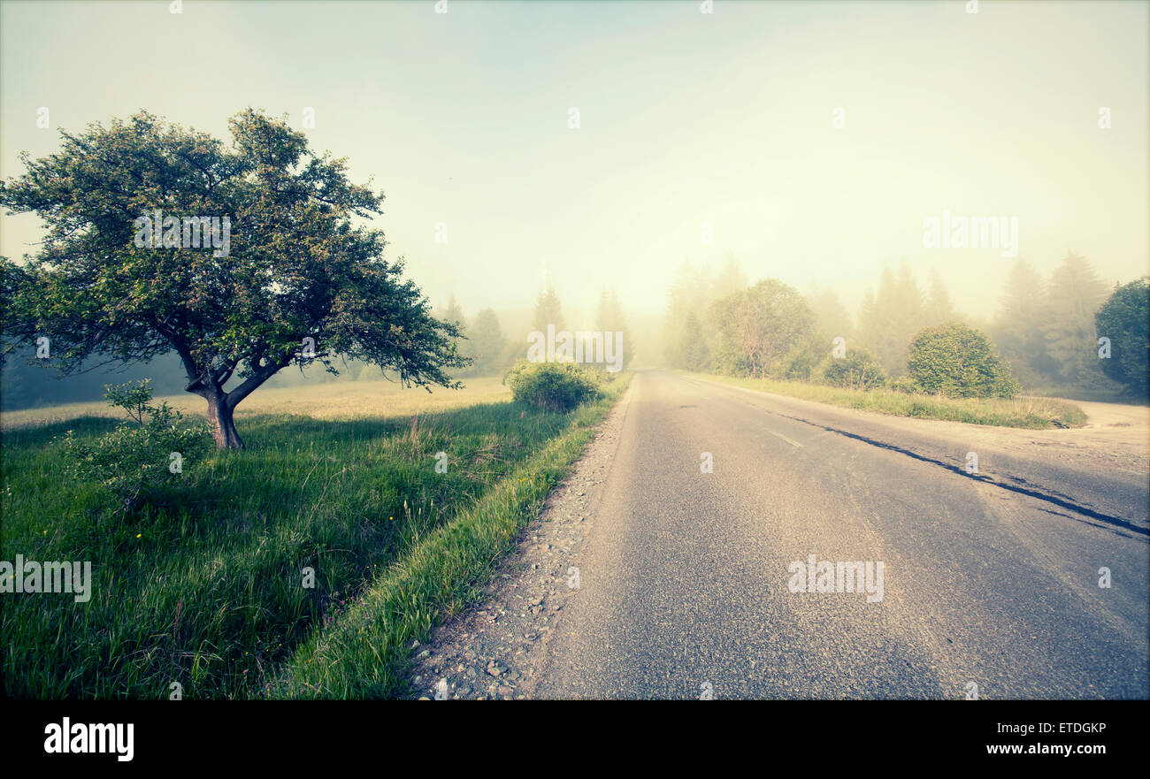 Crossroads in the fog hi-res stock photography and images - Alamy