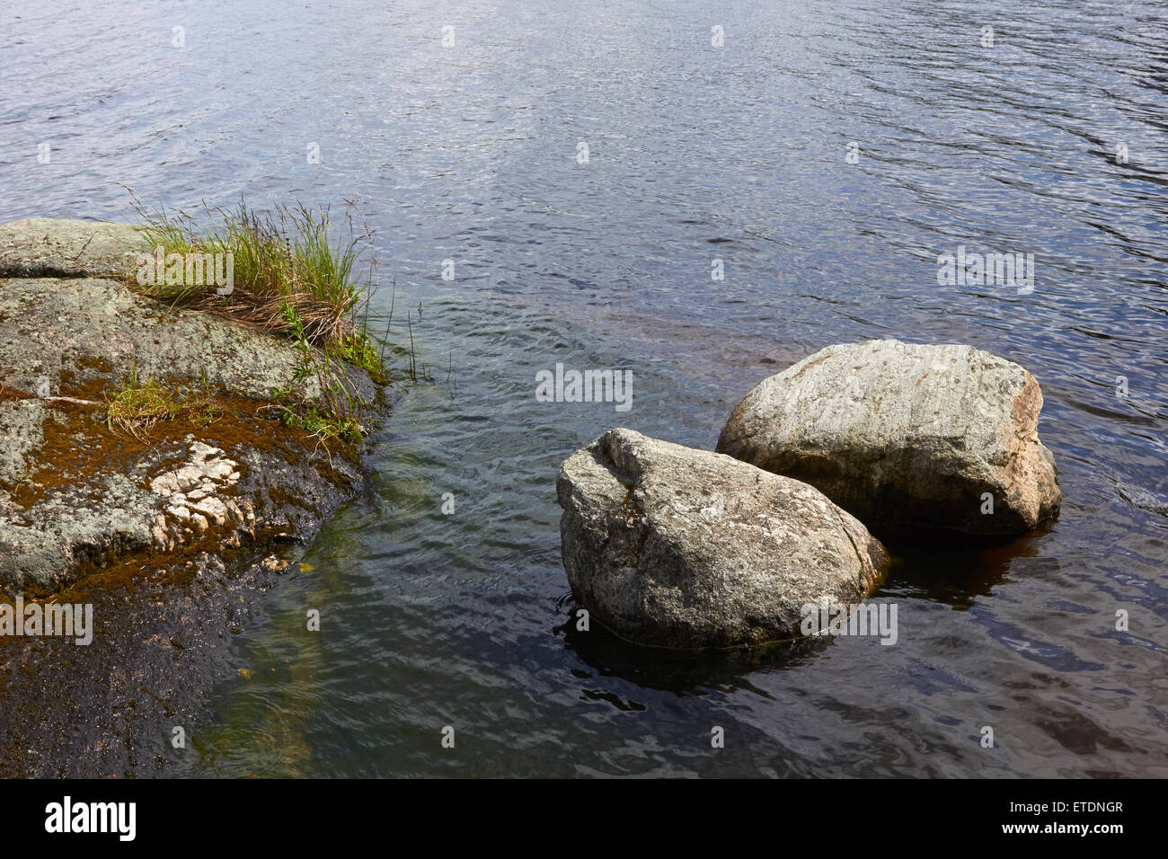 boulders peeking out of water, Finland Stock Photo