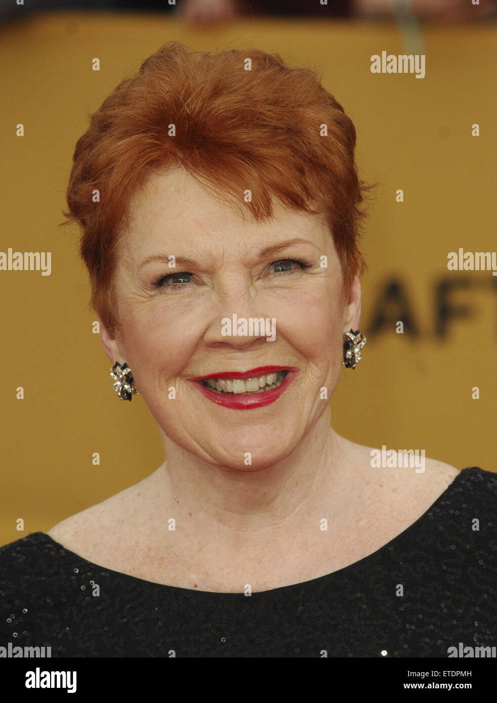 21st Annual Screen Actors Guild Awards Arrivals Featuring: Beth Fowler ...