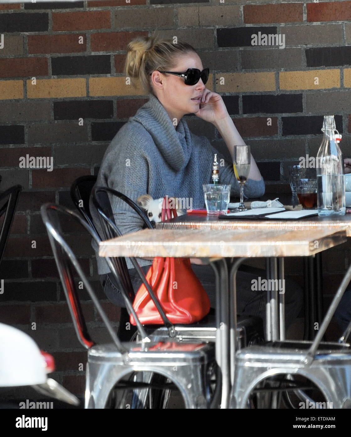 "State Of Affairs" star Katherine Heigl carrying her pooch after having