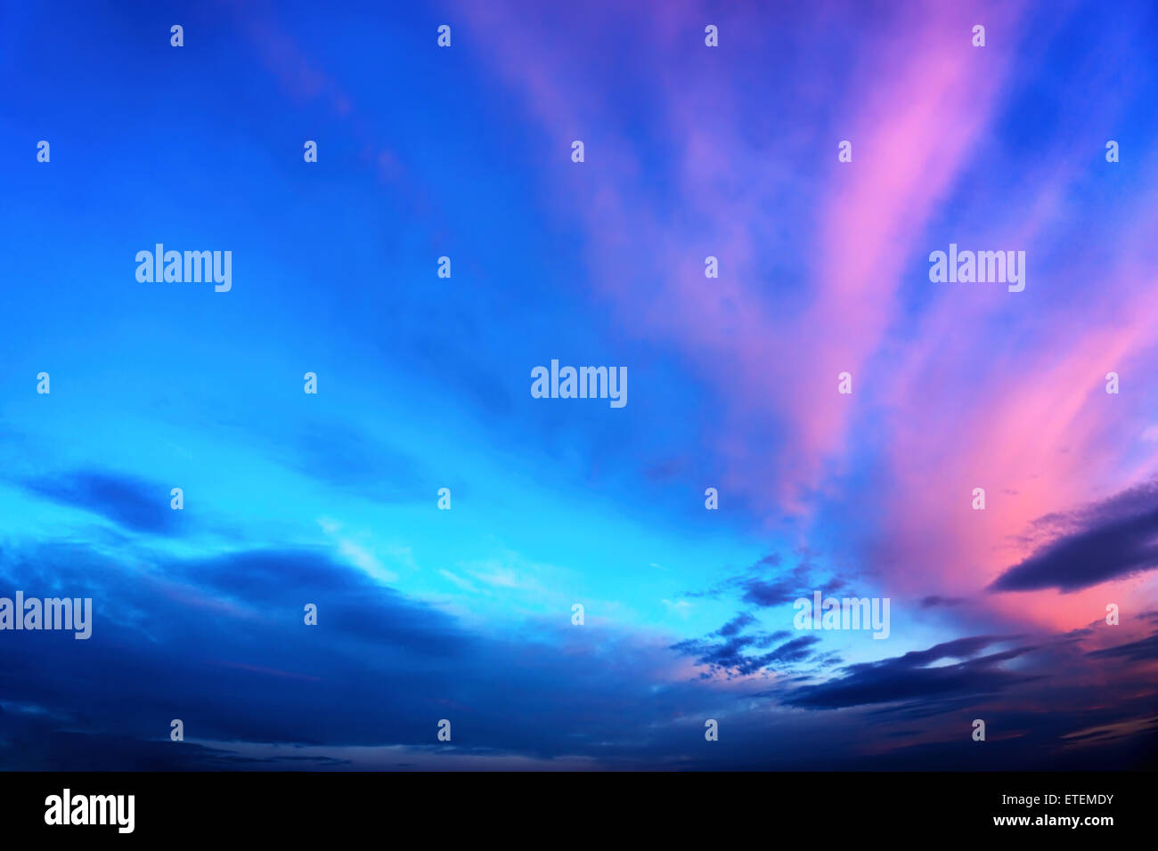 Twilight sky background in deep blue with vivid pink clouds Stock Photo