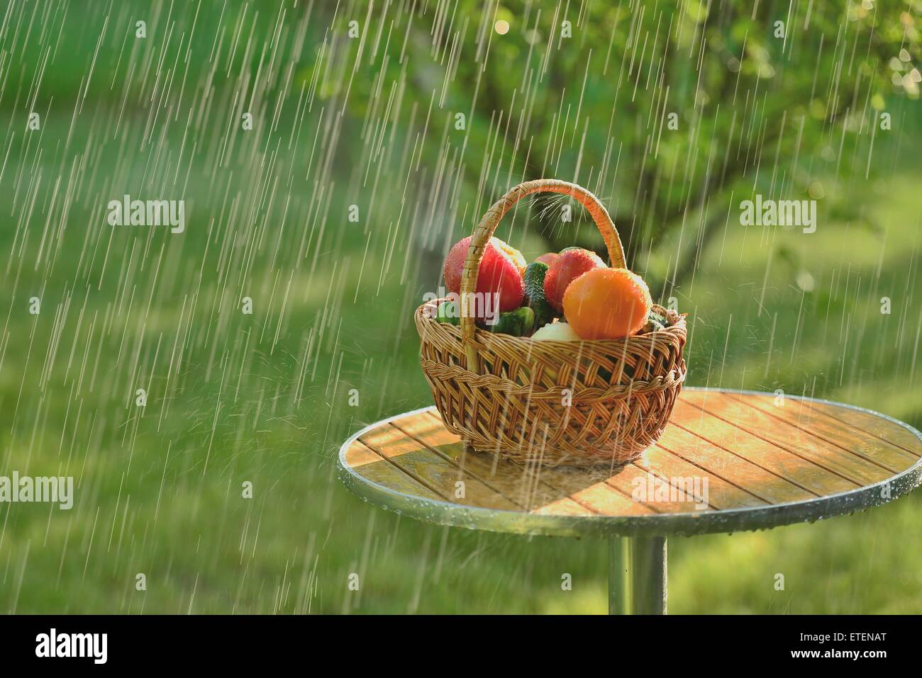 Summer rain and vegetables Stock Photo Alamy