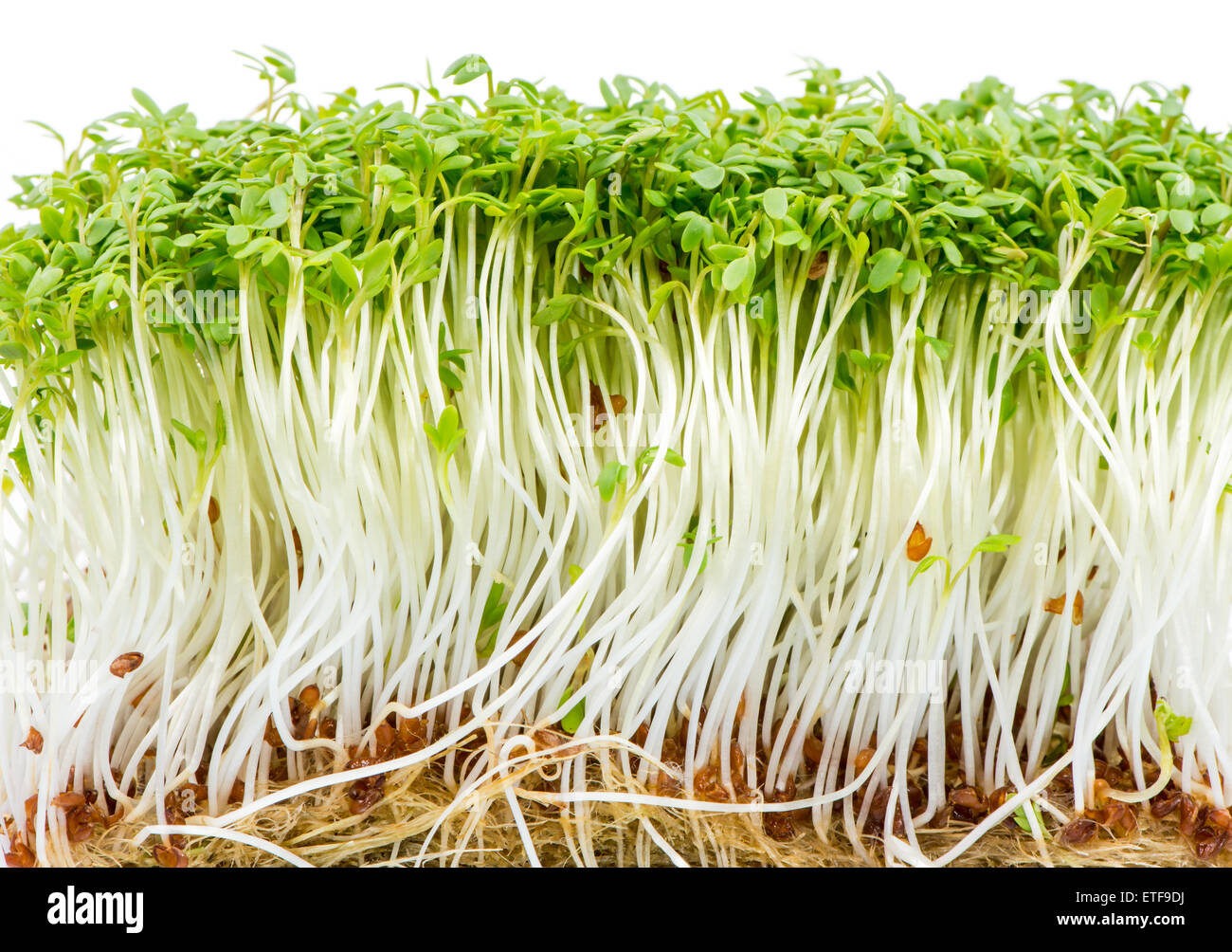 Water cress hi-res stock photography and images - Alamy