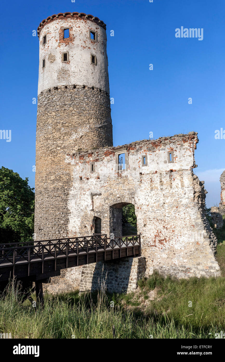 Romantic ruins of a medieval castle Zviretice Czech Republic Central Bohemia, Stock Photo