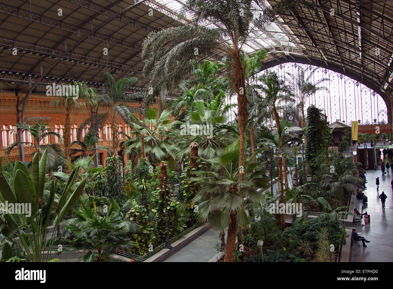 The Atocha Train Station. A view of the atrium of the Atocha Rail Station, Madrid, Spain. Stock Photo