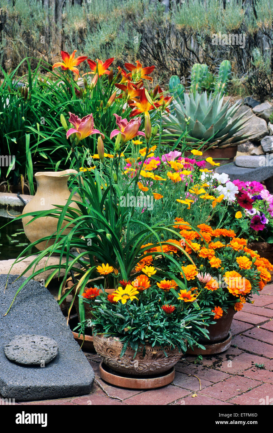 The gardens of Santa Fe, New Mexico, offer a constant supply of