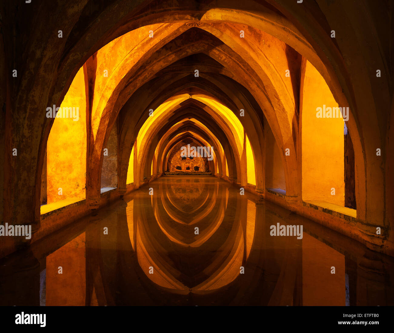 My Image 8