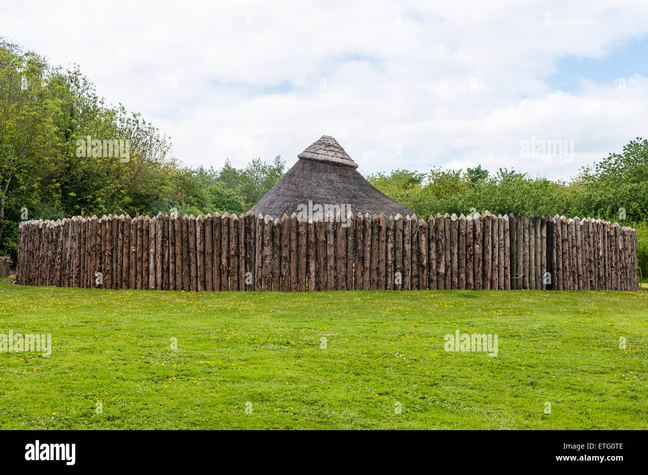 A replica iron-age dwelling, made from willow, hazel and thatch, sits behind a protective fence Stock Photo