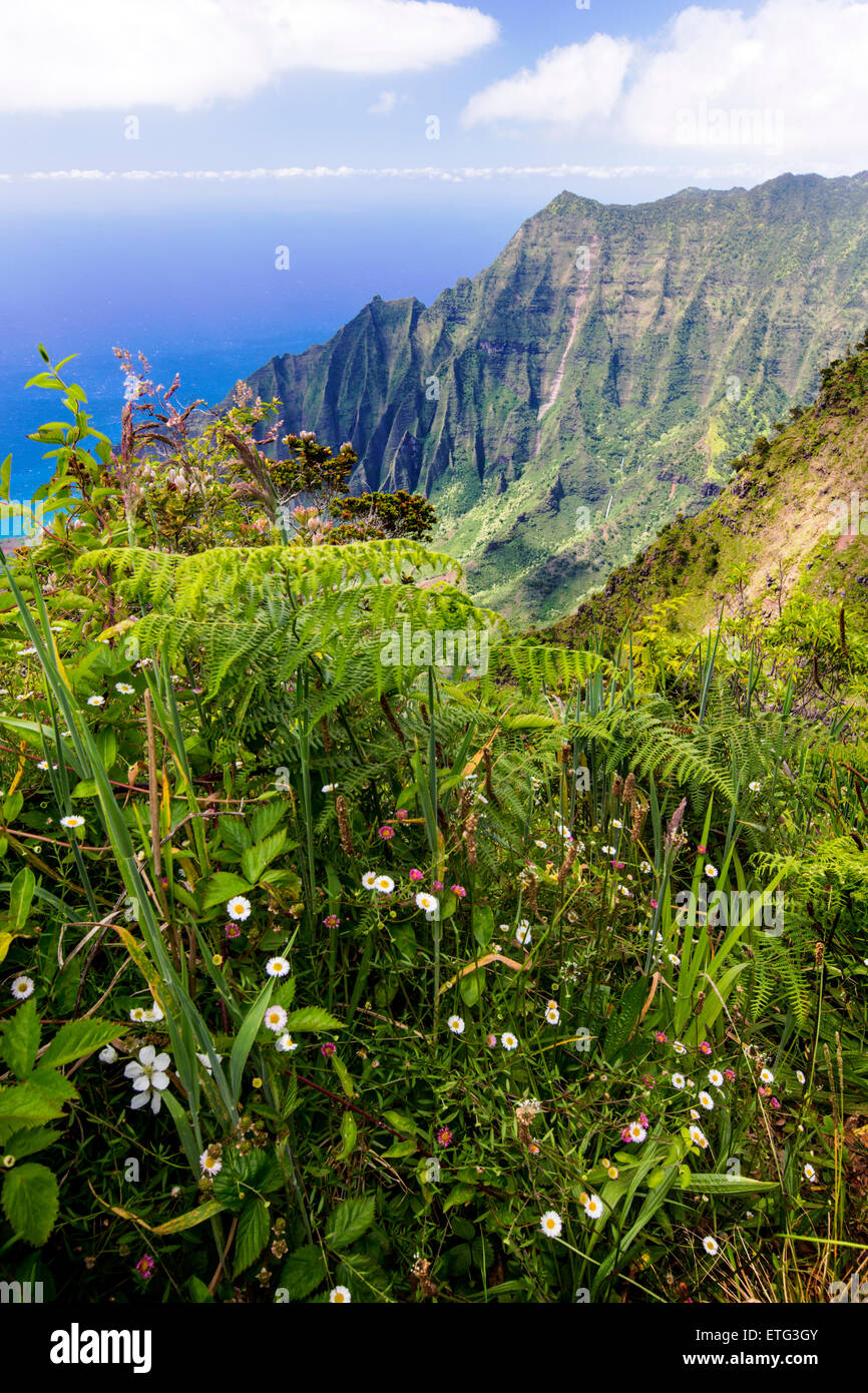 View from Canyon Lookout, Waimea Canyon State Park, Kauai, Hawaii, USA Stock Photo