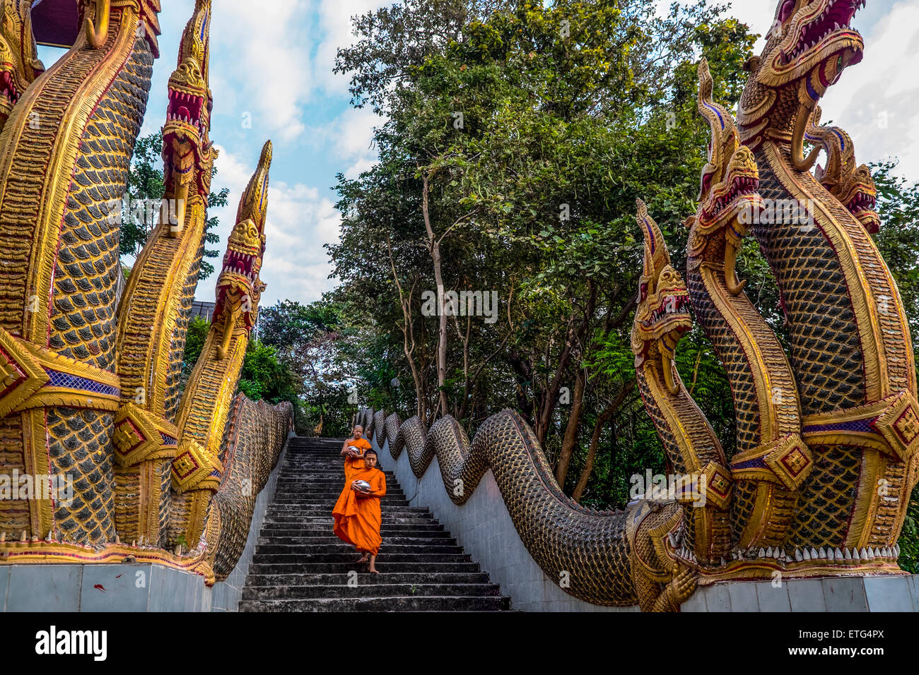 Asia. Thailand, Chiang Mai. Young Buddhist monks on their morning procession for offerings of food near a monastery. Stock Photo