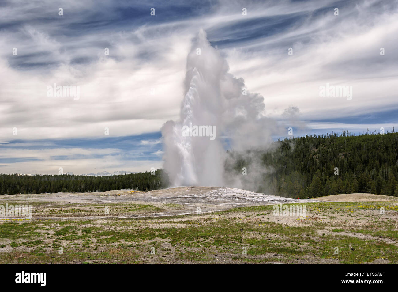 Eruption of Old Faithful geyser at Yellowstone National Park, Wyoming, USA Stock Photo